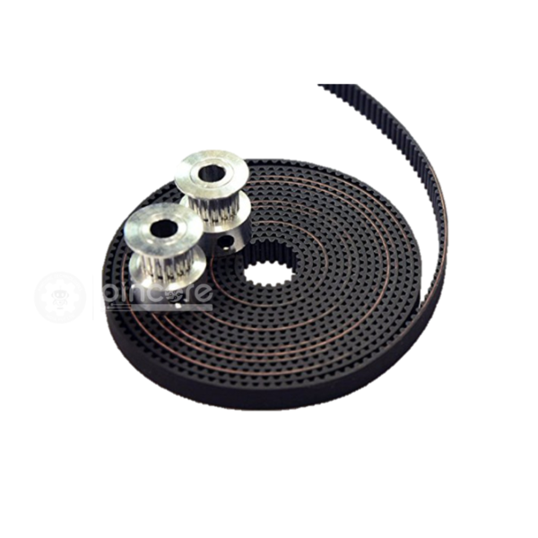 Timing Belt and Pulley